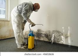 Best Commercial Mold Inspection  in Altamont, KS